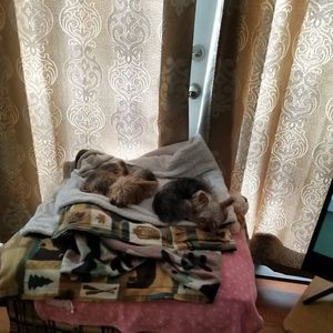 Meet your Posher, Kristin kay